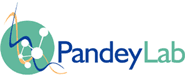 PandeyLab